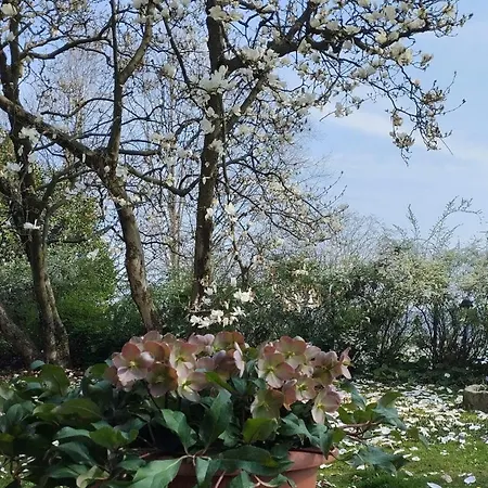 Il Talucco *