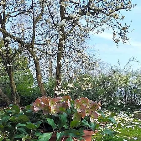 Il Talucco